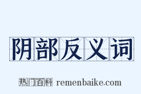 阴部反义词是什么意思的图片